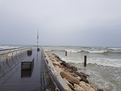 Pesaro  ( Palla del Pomodoro )