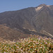 Teide..  Teneriffa