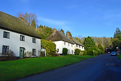 Milton Abbas cottages