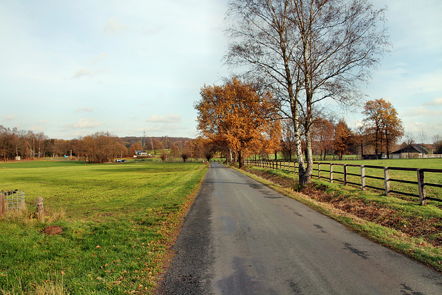 Holthäuser Straße (Oer-Erkenschwick) / 1.12.2018