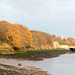 Autumn colours on the bank of the River Mersey