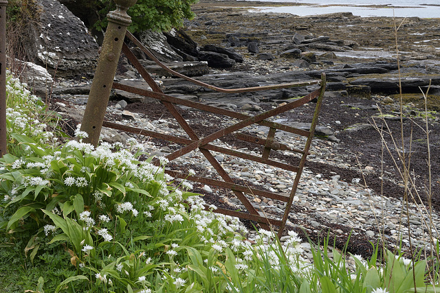 HFF~ Fenceless gate