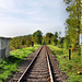 Bahnstrecke Dortmund–Enschede (Lünen-Alstedde) / 13.04.2024