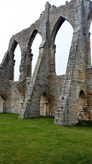 bayham abbey, sussex