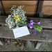 bus shelter bouquet