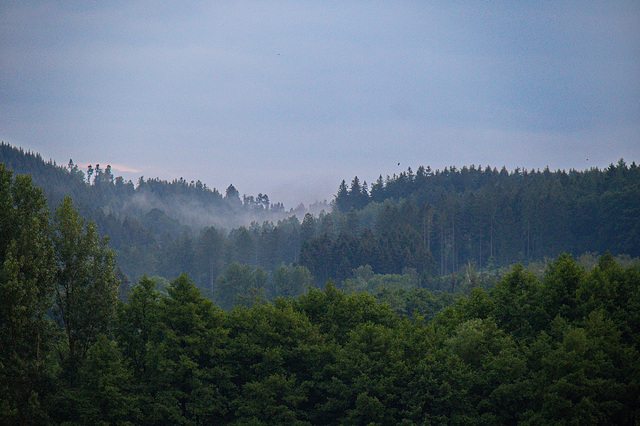 Der Harz empfängt uns mit Nebel und Schauer