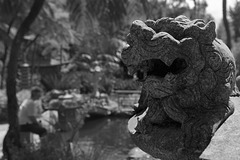 Lion sculpture by the pond