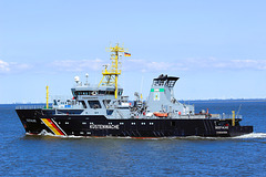 SEEFALKE..........Küstenwache