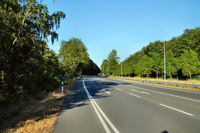 Westenhellweg (Bergkamen-Heil) / 29.06.2019