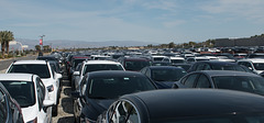 Palm Springs / virus / unused rental cars (# 0456)