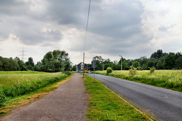 Arminstraße (Oberhausen) / 21.05.2022