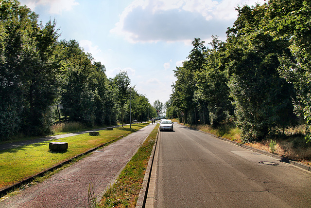 Fischertorstraße (Wesel) / 4.07.2022