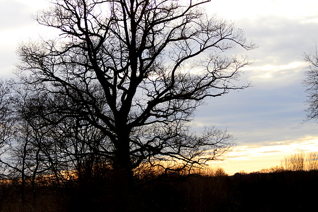 ciel du Berry le 1 Janvier 2016