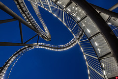 Tiger & Turtle in blau