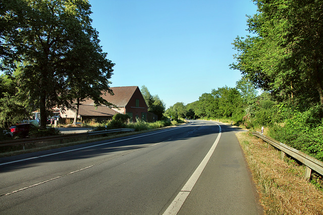 Westenhellweg (Bergkamen-Heil) / 29.06.2019