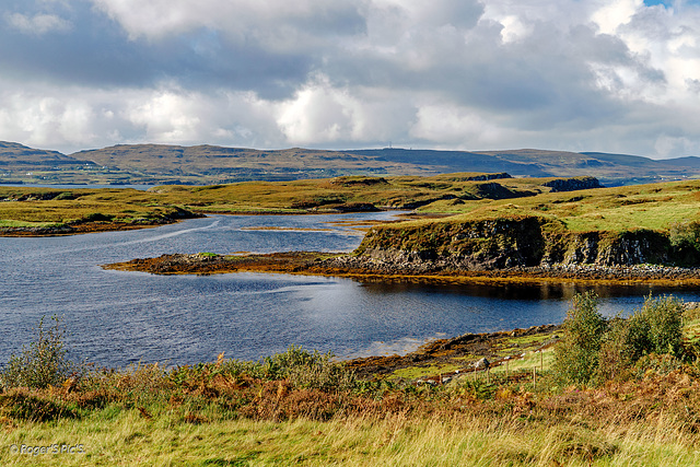 Sea Loch,