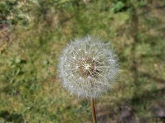 oaw[25] - Time, please {2 of 2}
