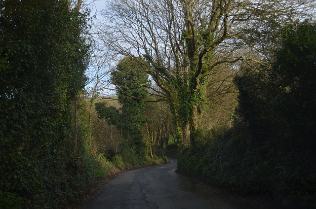 Cornwall Narrow Winding Road B3315