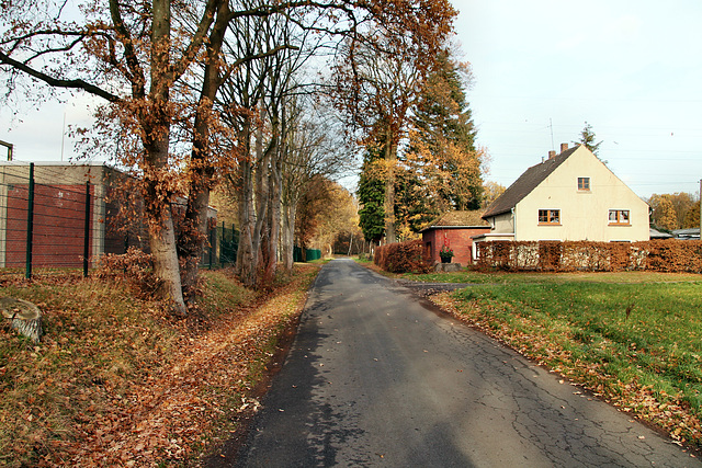 Holthäuser Straße (Oer-Erkenschwick) / 1.12.2018