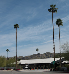Palm Springs / virus / closed hipster resort (# 0459)