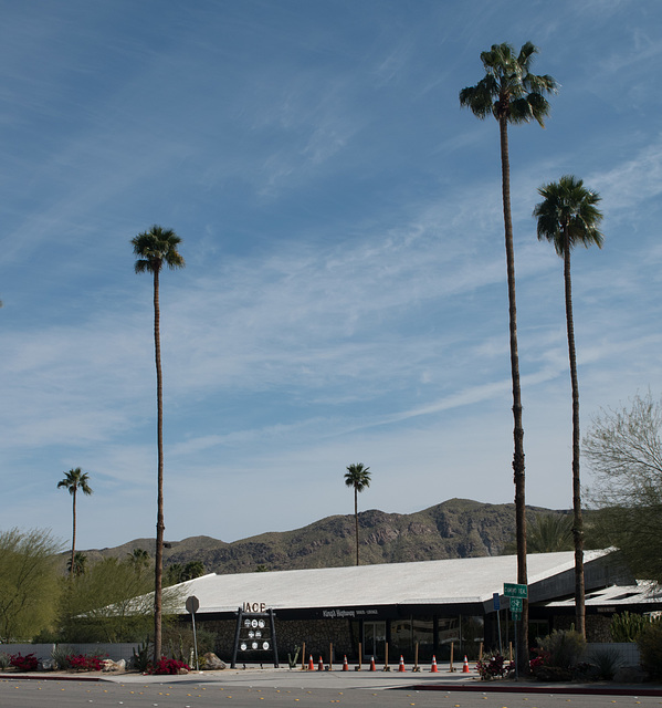 Palm Springs / virus / closed hipster resort (# 0459)