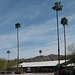 Palm Springs / virus / closed hipster resort (# 0459)