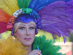 Palm Springs Pride (4) - 8 November 2015