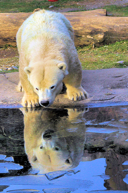 Ein Besuch im Zoo...