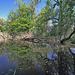 Rüdlingen - Am Alten Rhein  (5)