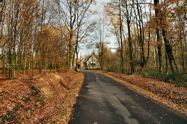 Holthäuser Straße (Oer-Erkenschwick) / 1.12.2018