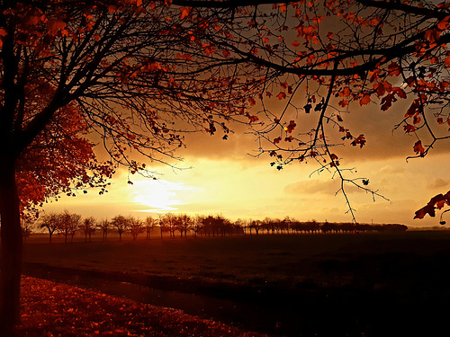 November