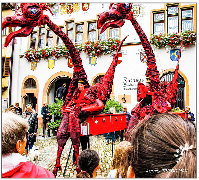 Staufen Herbst 24