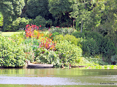 Lake at Hamilton Gardens.