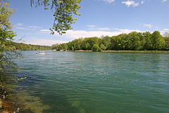 Rüdlingen - Am Alten Rhein (6)