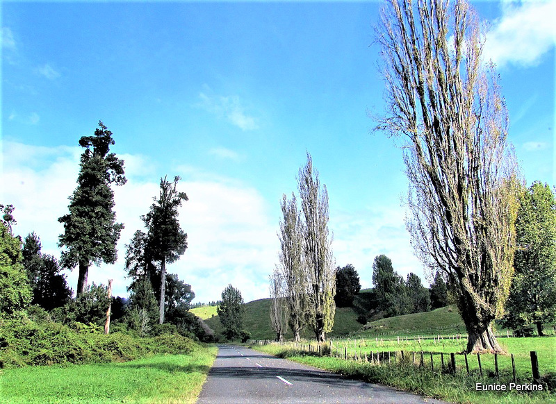 Nearing Ohura From The West.