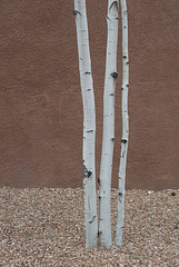Line,Texture & Hue - SantaFe New Mexico