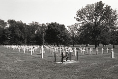 Hallowed Ground