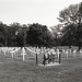 Hallowed Ground