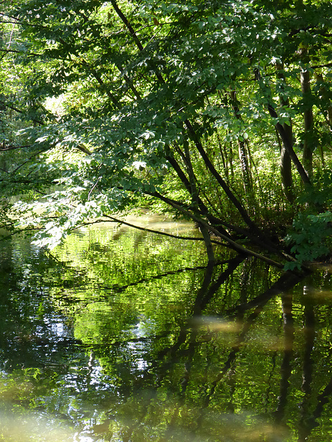 Schlosspark Nymphenburg