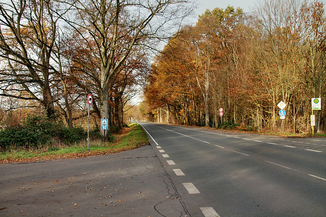 Sinsener Straße (Oer-Erkenschwick) / 1.12.2018