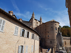 Urbino