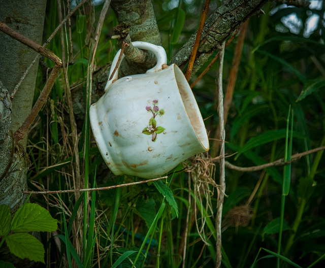 A Cuppa   - Ireland