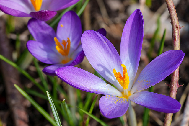 Offen für den Frühling