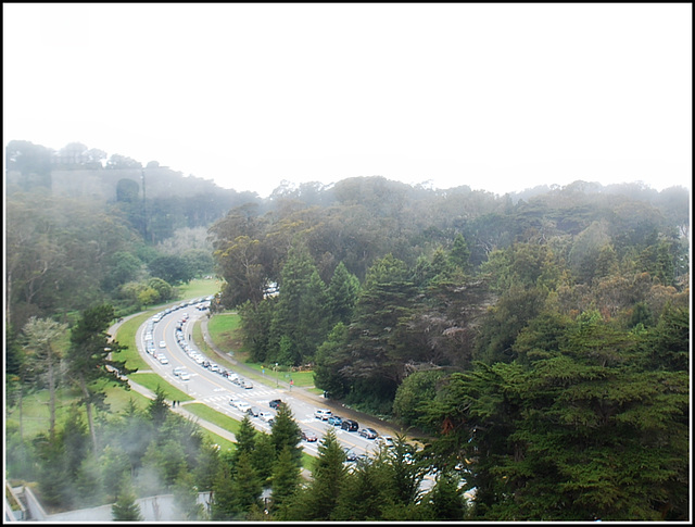 View from Tower at Zen garden SF