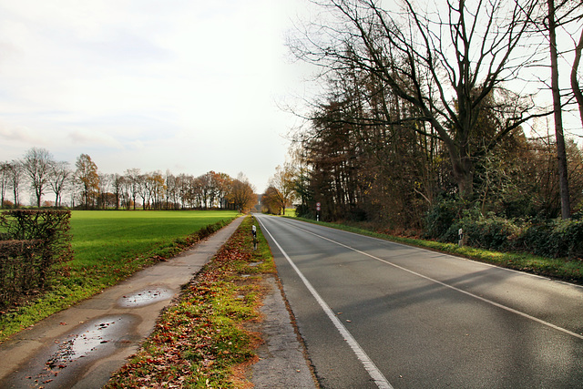 Sinsener Straße (Oer-Erkenschwick) / 1.12.2018