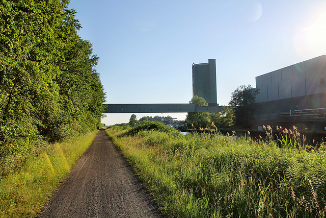 Weg am Datteln-Hamm-Kanal (Bergkamen) / 29.06.2019