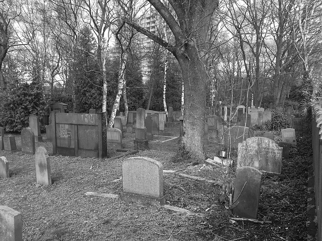 friedhof 00366 F