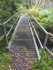 Iron footbridge - dogs and other animals most reluctant to cross!