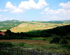 YIN-YANG landscape