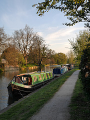 Clayhithe - Barges moored beside the River Cam 2015-04-21